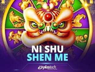 Ni Shu Shen Me game thumbnail