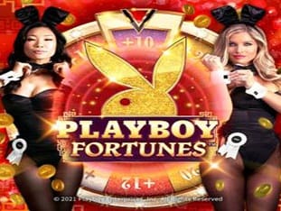 Playboy Fortunes game screenshot