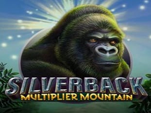 Silverback Multiplier Mountain game screenshot