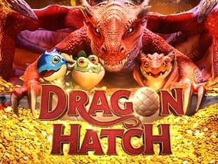 Dragon Hatch game thumbnail